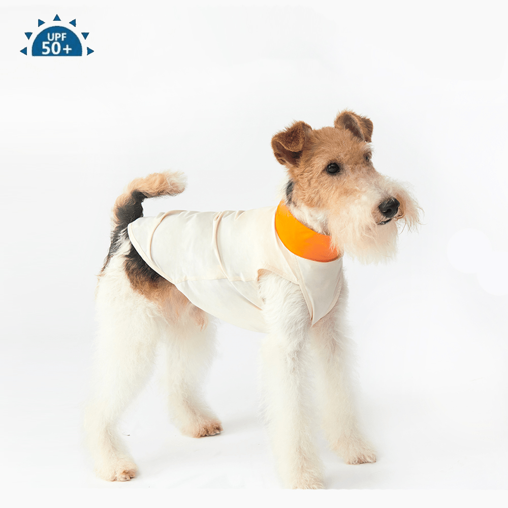 Cooling Dog Shirt Clothing Colorblock Summer Pet Base Layer - PIKAPIKA