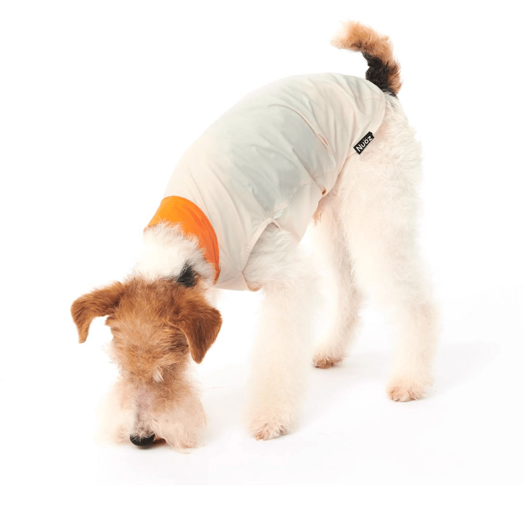 Cooling Dog Shirt Clothing Colorblock Summer Pet Base Layer - PIKAPIKA