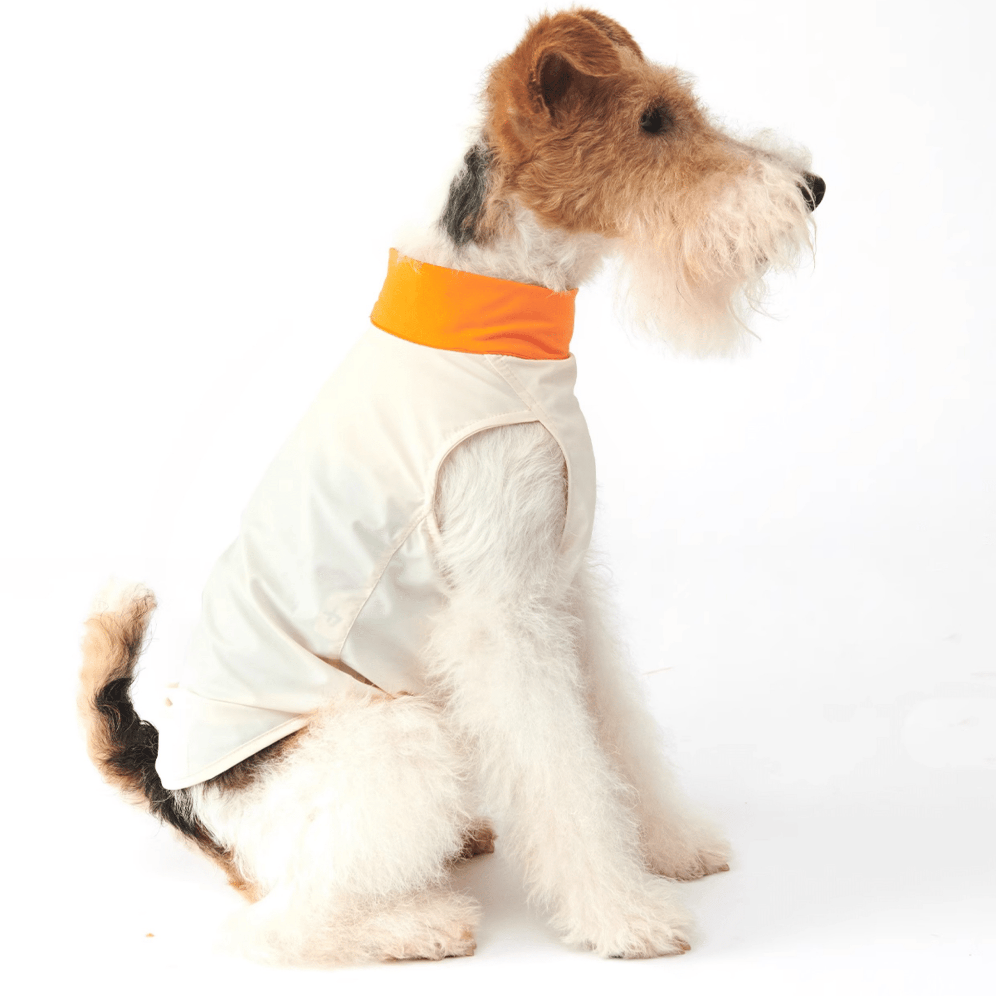 Cooling Dog Shirt Clothing Colorblock Summer Pet Base Layer - PIKAPIKA