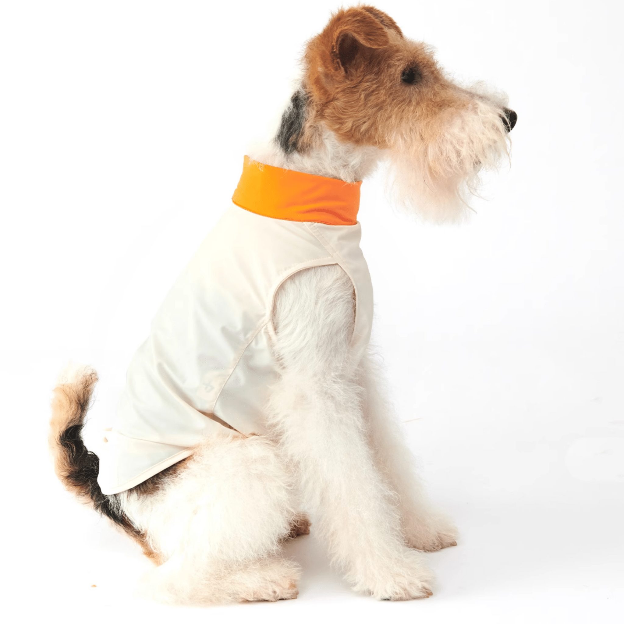 Cooling Dog Shirt Clothing Colorblock Summer Pet Base Layer - PIKAPIKA