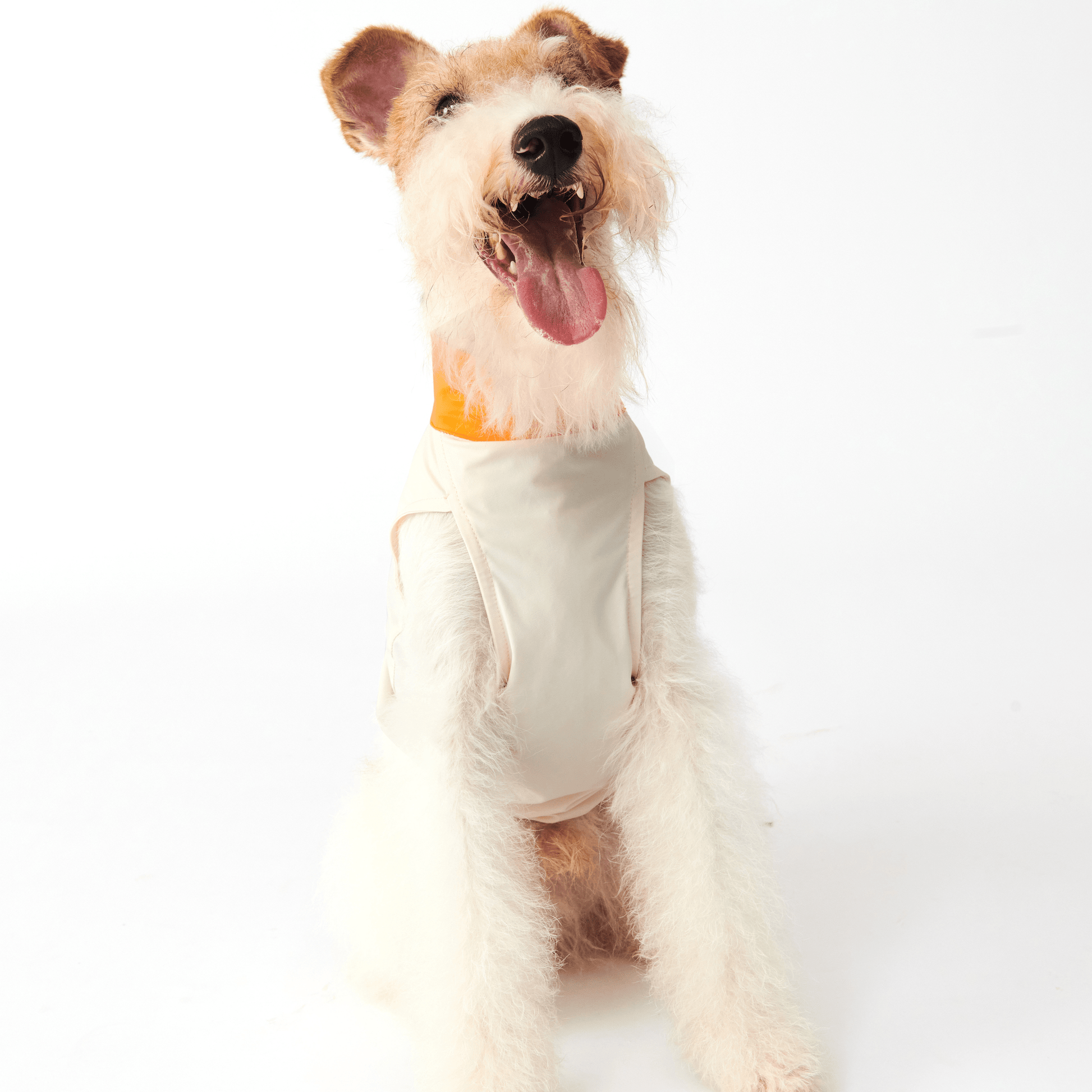 Cooling Dog Shirt Clothing Colorblock Summer Pet Base Layer - PIKAPIKA