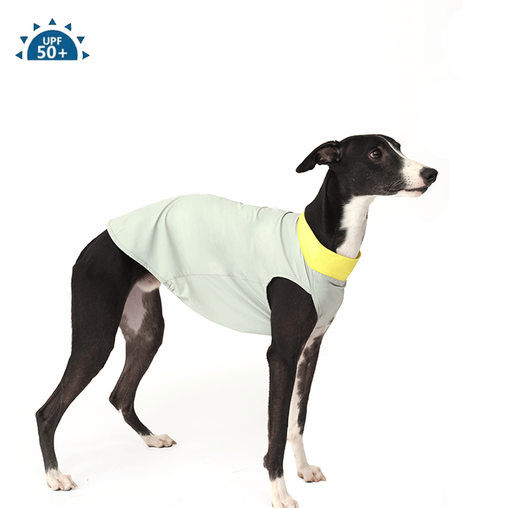 Cooling Dog Shirt Colorblock Summer Pet Base Layer for Italian Greyhound - PIKAPIKA
