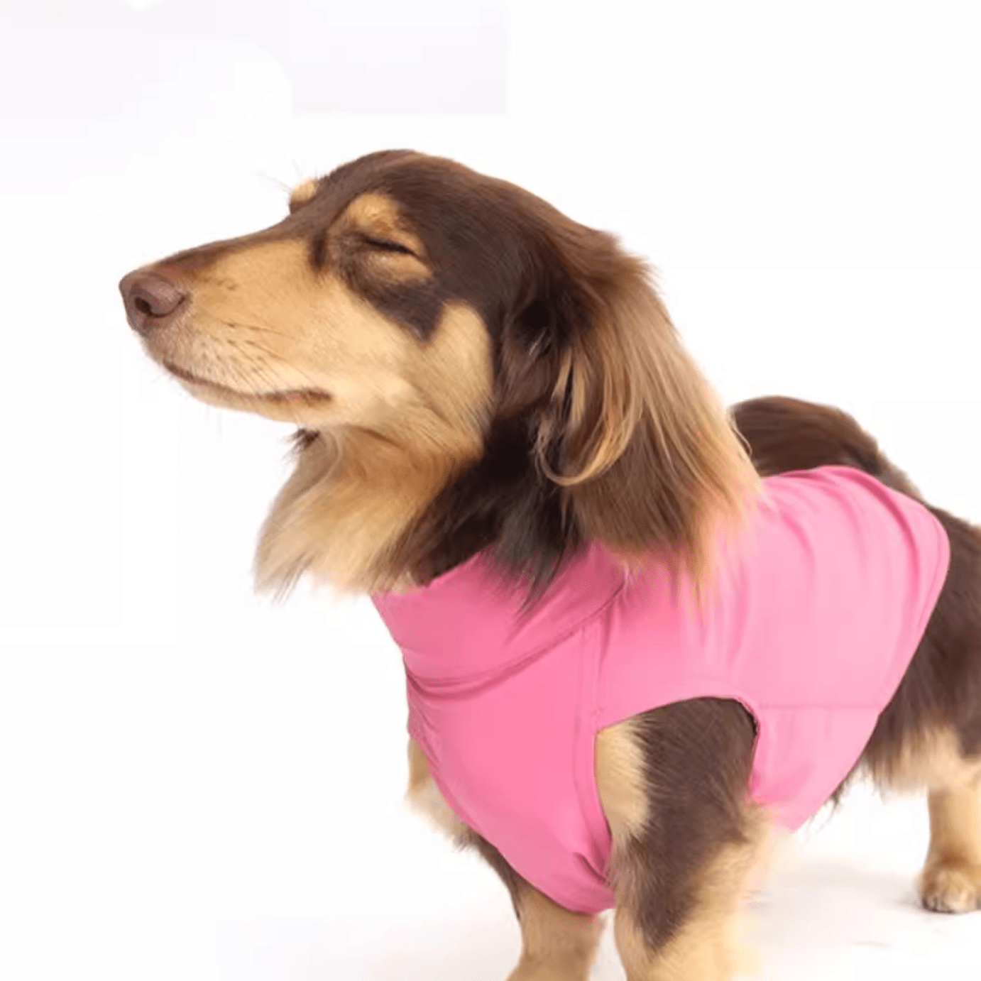 Cooling Dog T-Shirt Colorblock Summer Pet Base Layer for Dachshund - PIKAPIKA