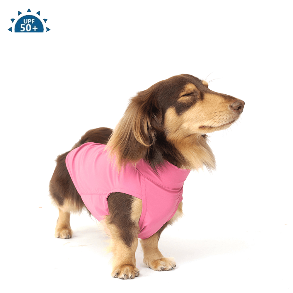 Cooling Dog T-Shirt Colorblock Summer Pet Base Layer for Dachshund - PIKAPIKA