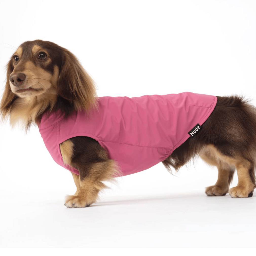 Cooling Dog T-Shirt Colorblock Summer Pet Base Layer for Dachshund - PIKAPIKA