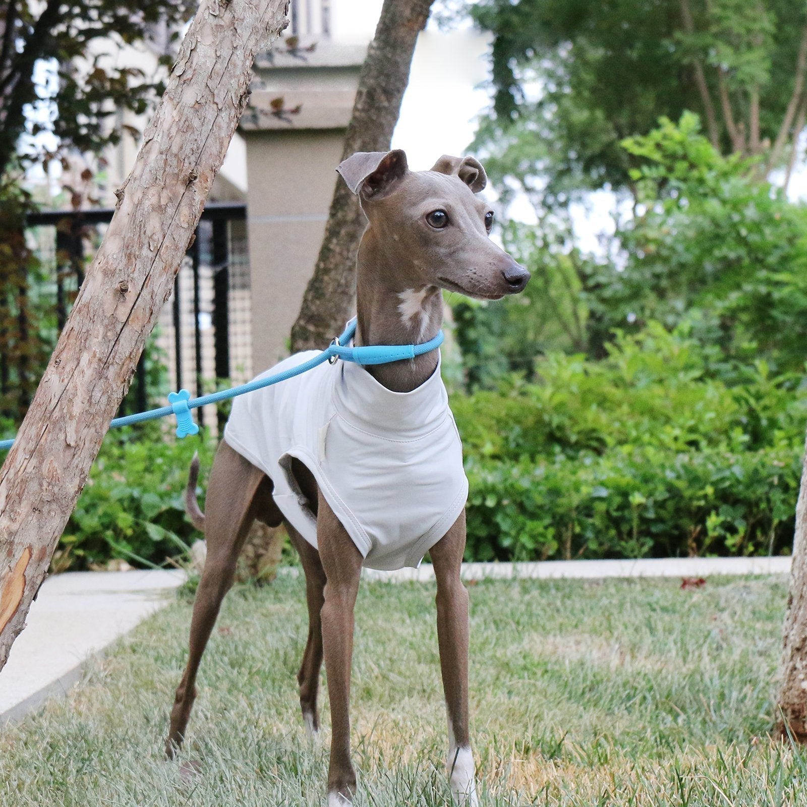 Cooling Nylon Vest Summer Sun Protection for Sighthounds Whippet - PIKAPIKA