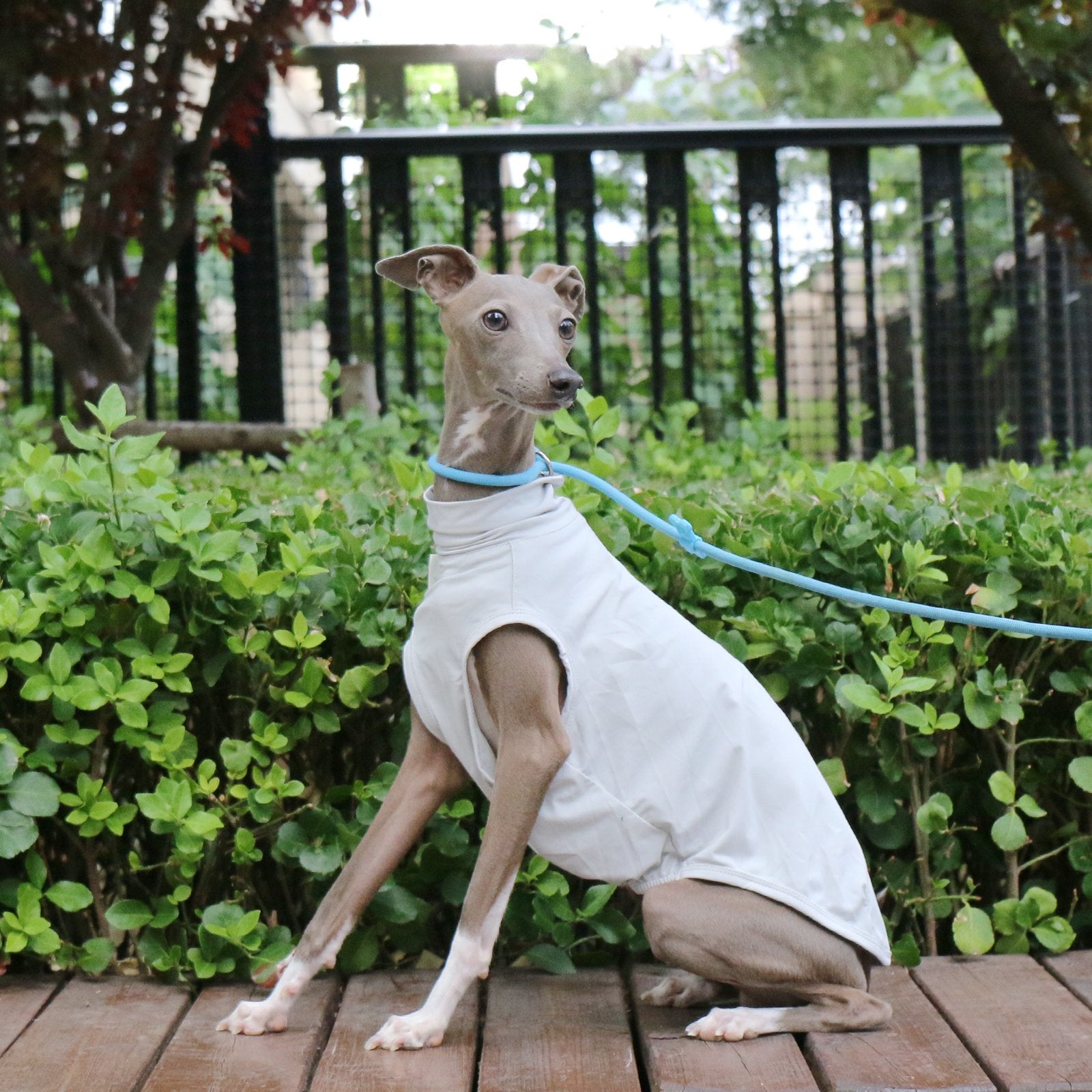 Cooling Nylon Vest Summer Sun Protection for Sighthounds Whippet - PIKAPIKA