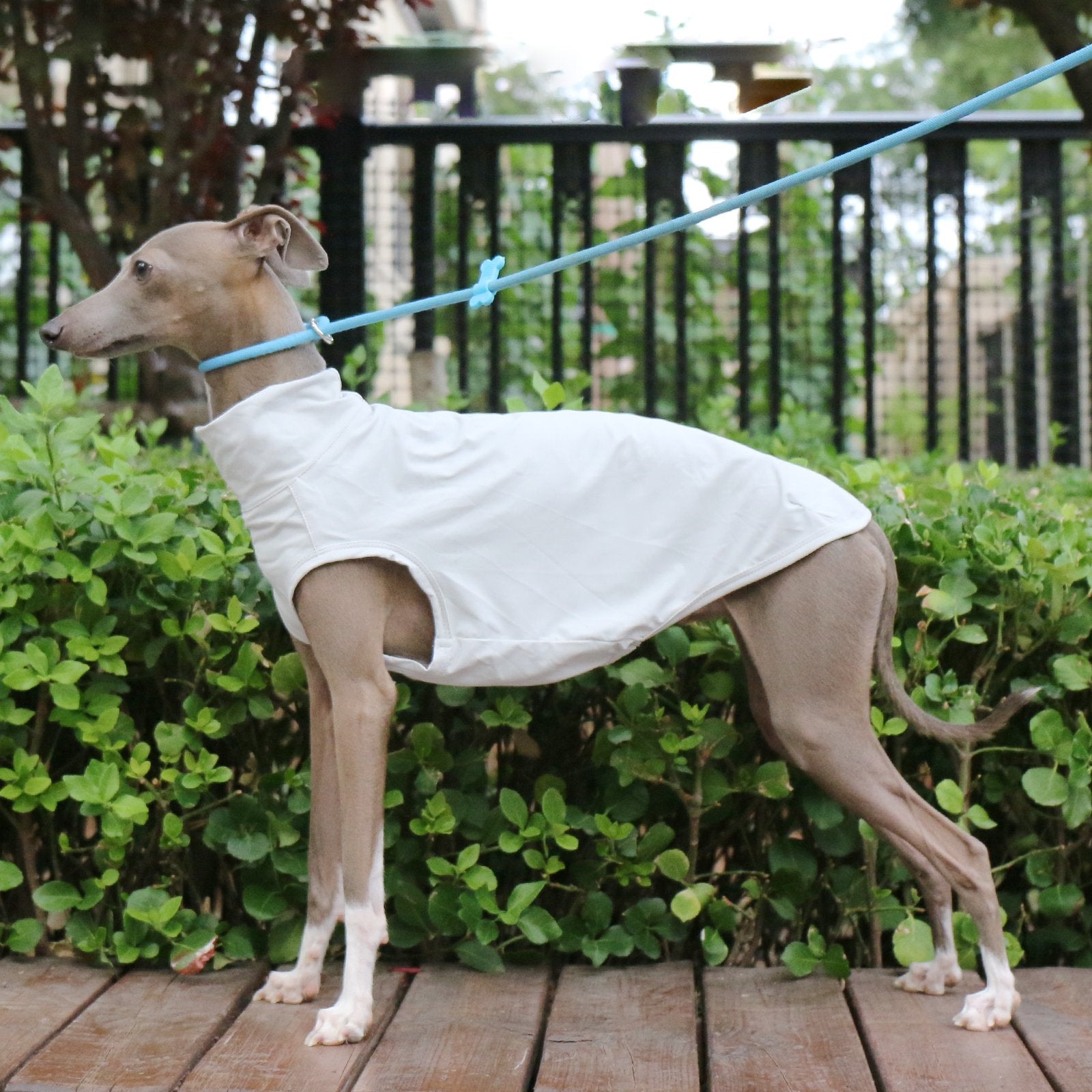 Cooling Nylon Vest Summer Sun Protection for Sighthounds Whippet - PIKAPIKA