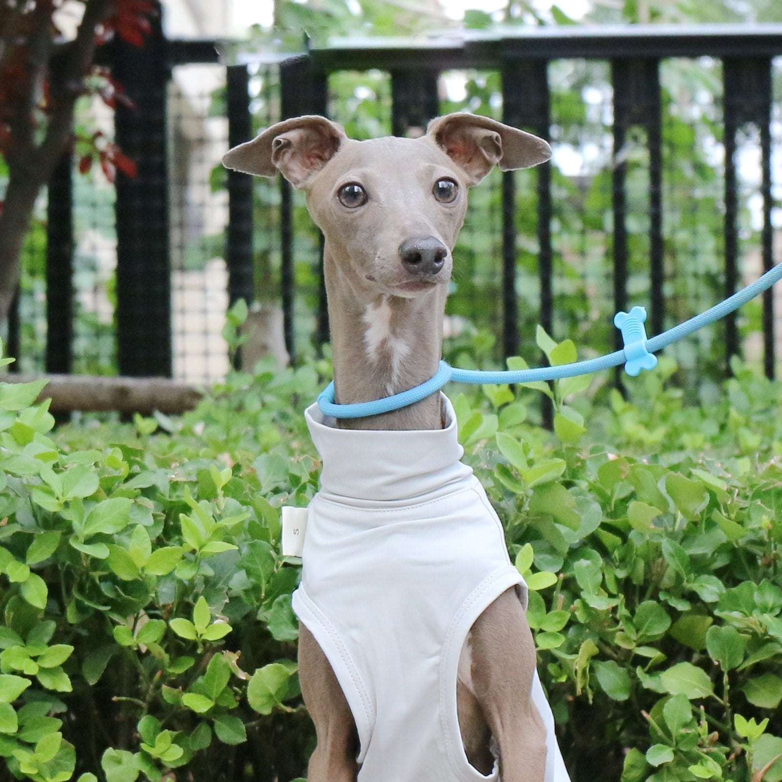 Cooling Nylon Vest Summer Sun Protection for Sighthounds Whippet - PIKAPIKA