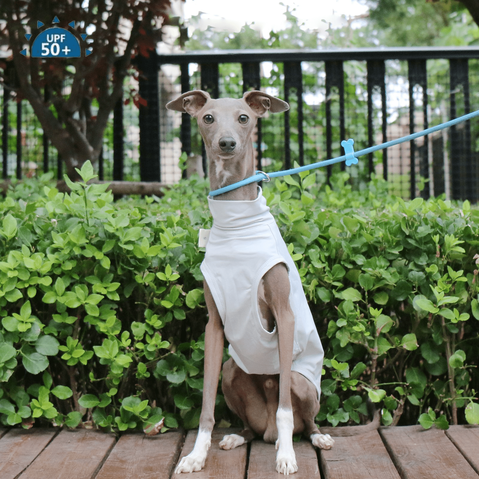 Cooling Nylon Vest Summer Sun Protection for Sighthounds Whippet - PIKAPIKA
