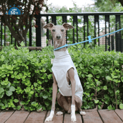 Cooling Nylon Vest Summer Sun Protection for Sighthounds Whippet - PIKAPIKA