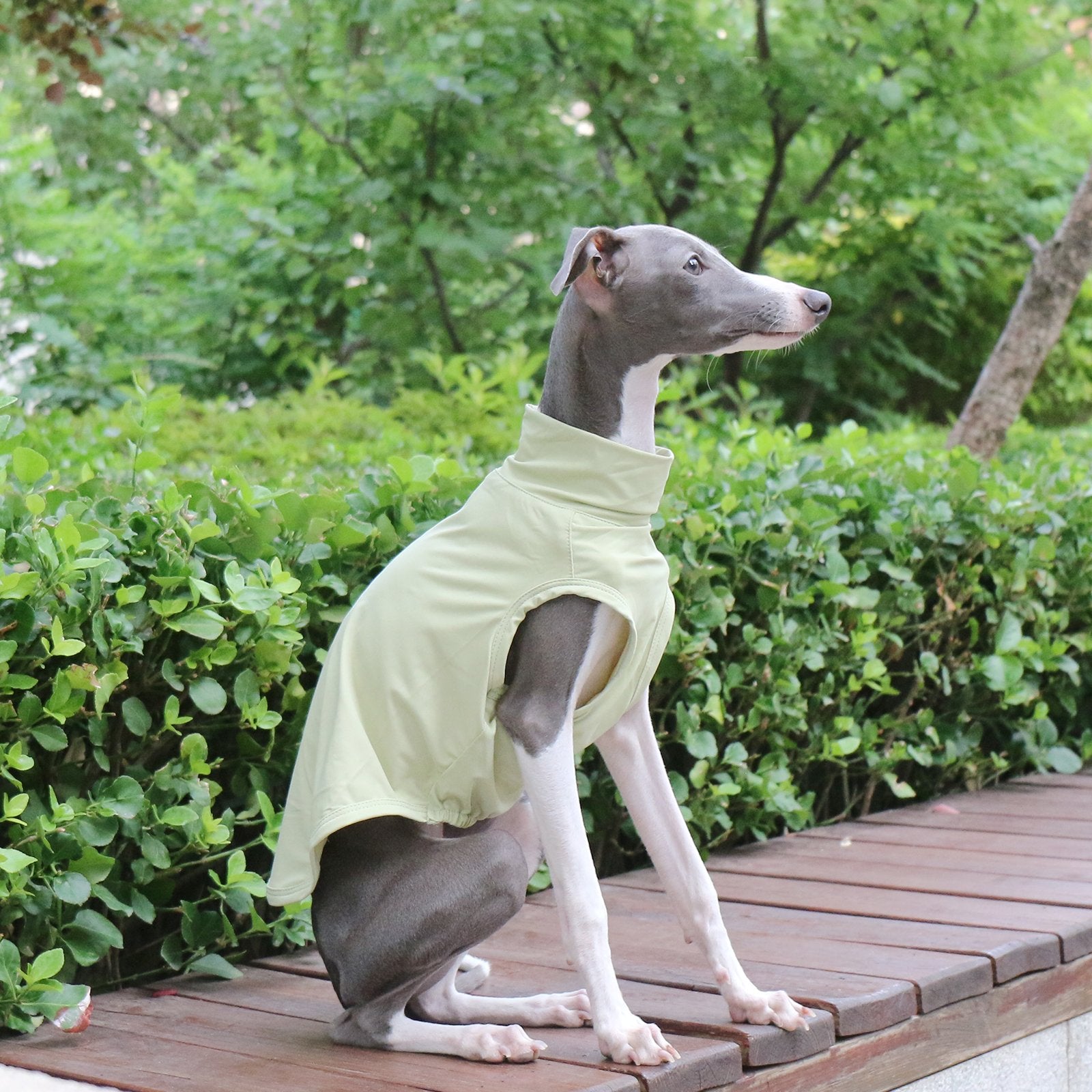 Cooling Nylon Vest Summer Sun Shirt for Italian Greyhound Whippet - PIKAPIKA