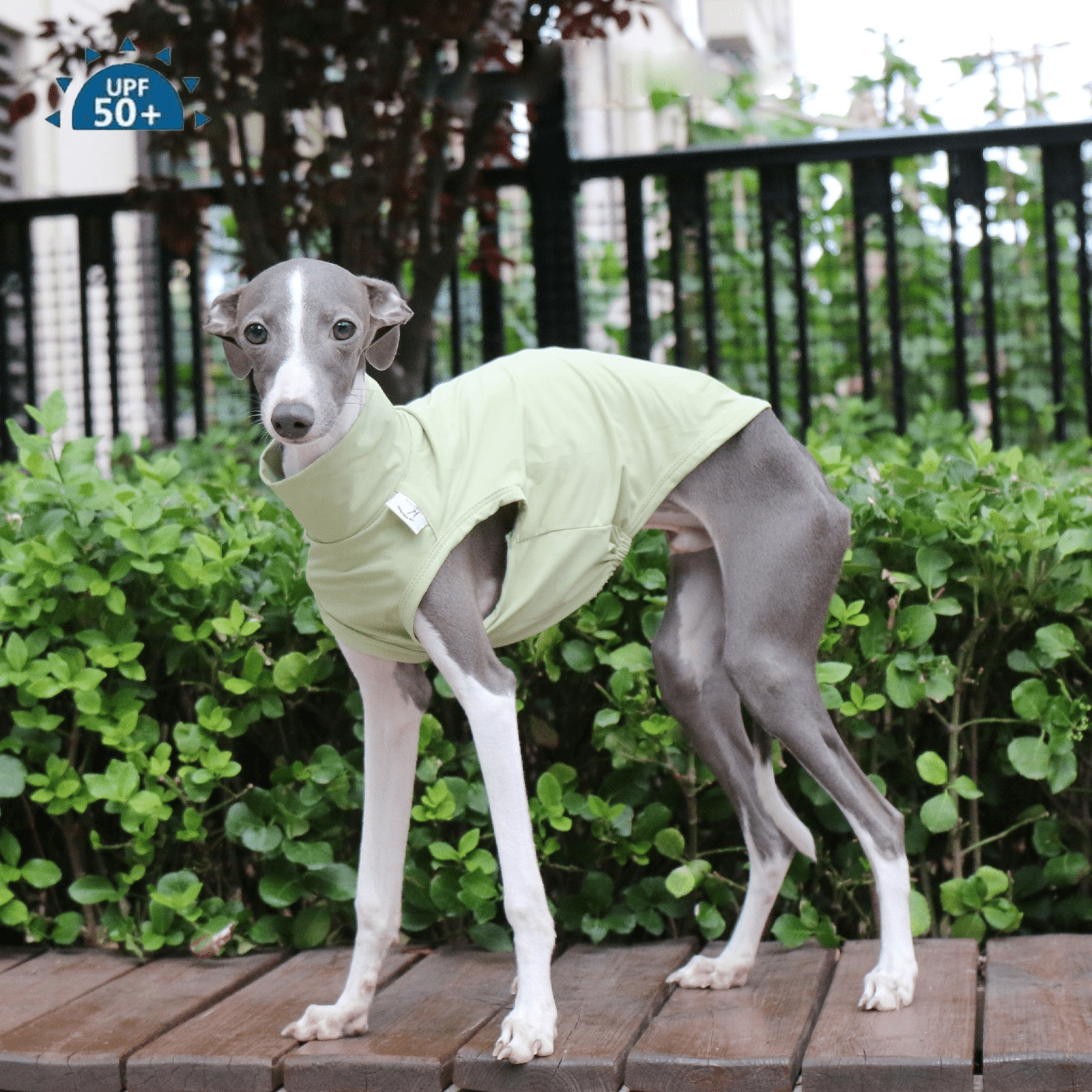 Cooling Nylon Vest Summer Sun Shirt for Italian Greyhound Whippet - PIKAPIKA