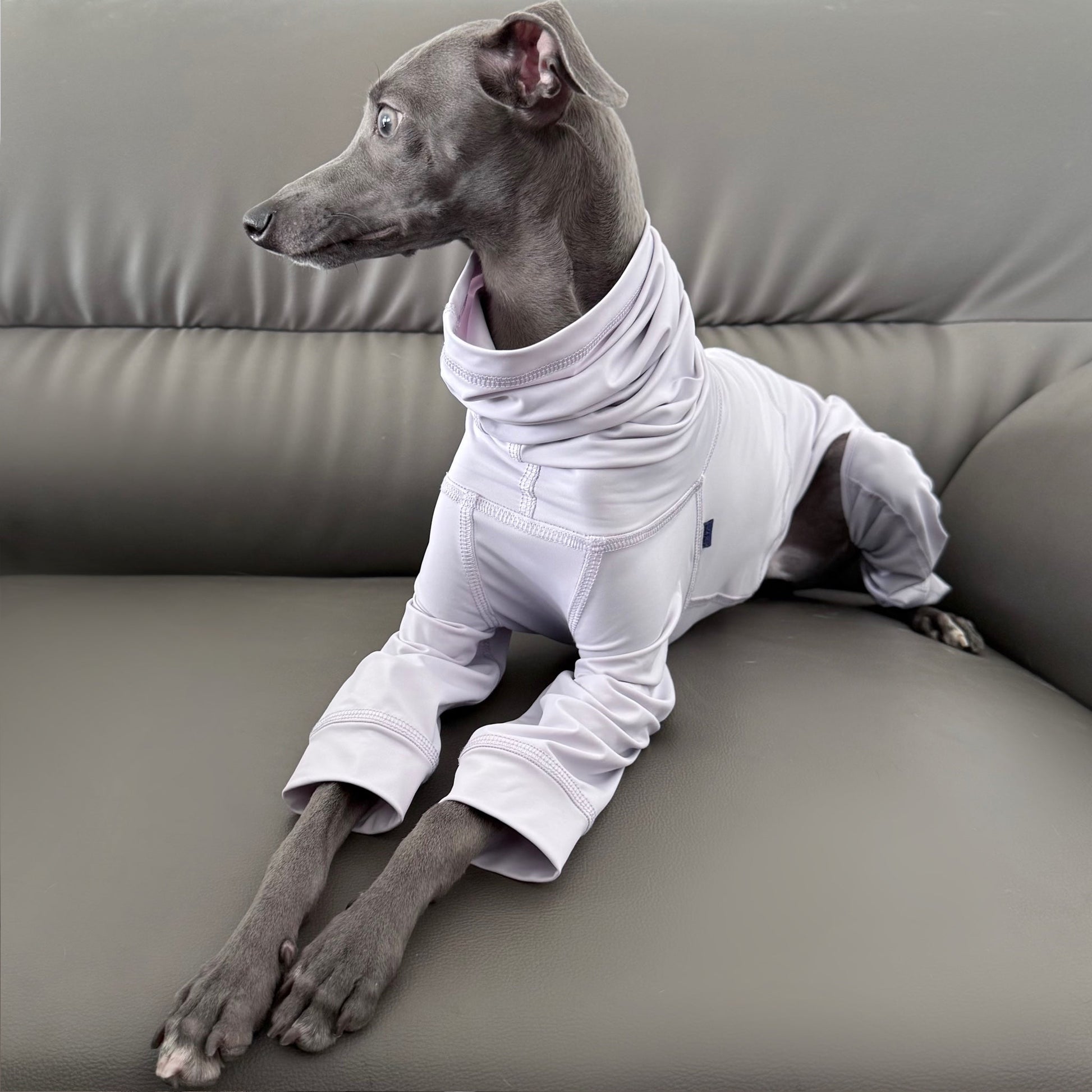 Cooling Protective Shirt Summer Bug and Dirt Resistant for Sighthounds - PIKAPIKA