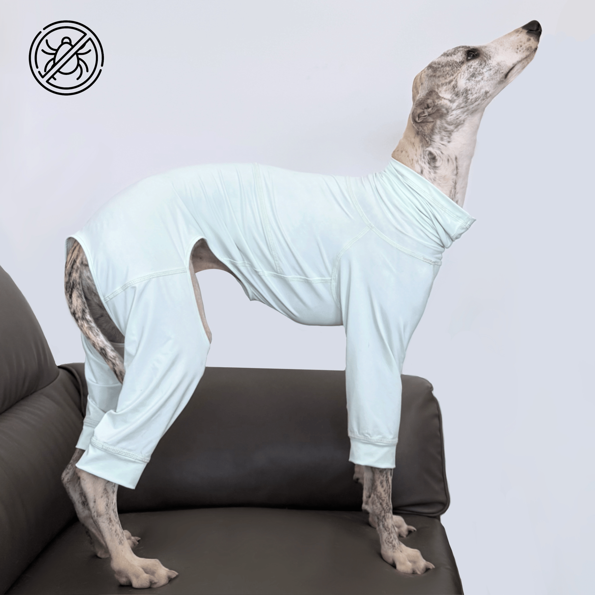Cooling Protective Shirt Summer Bug and Dirt Resistant for Sighthounds - PIKAPIKA