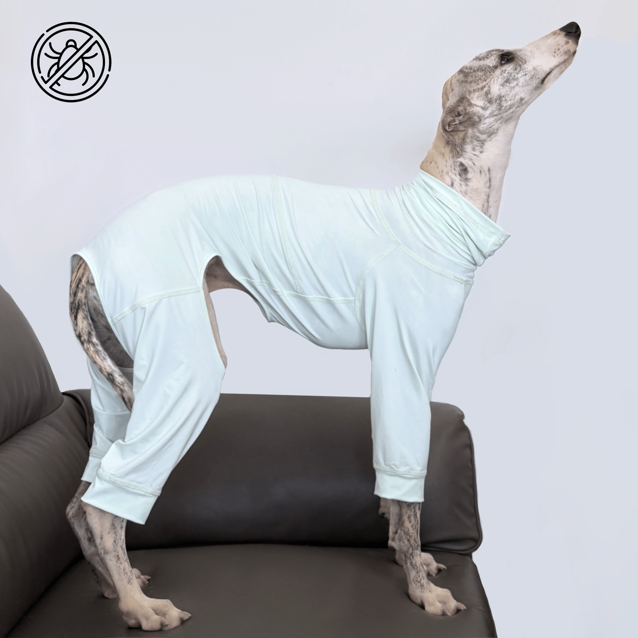 Cooling Protective Shirt Summer Bug and Dirt Resistant for Sighthounds - PIKAPIKA