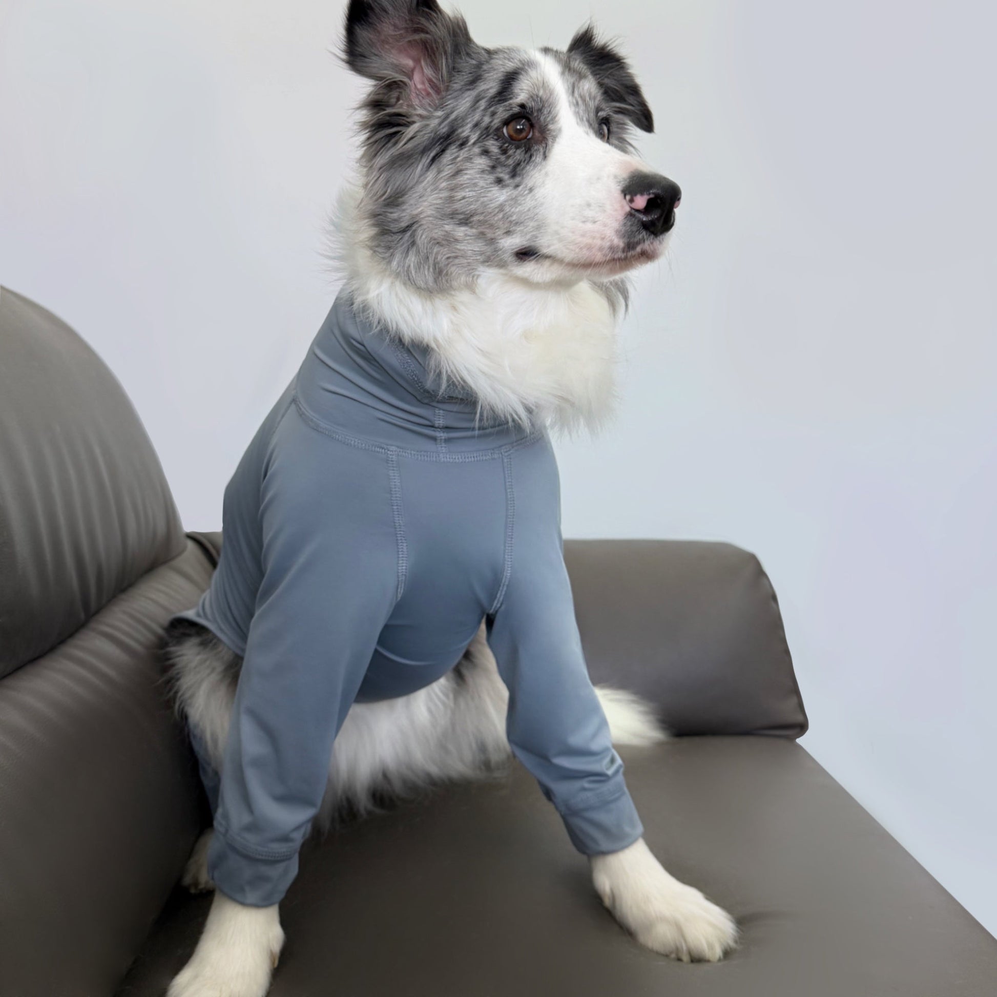 Cooling Protective Shirt Summer Bug and Dirt Resistant for Sighthounds - PIKAPIKA