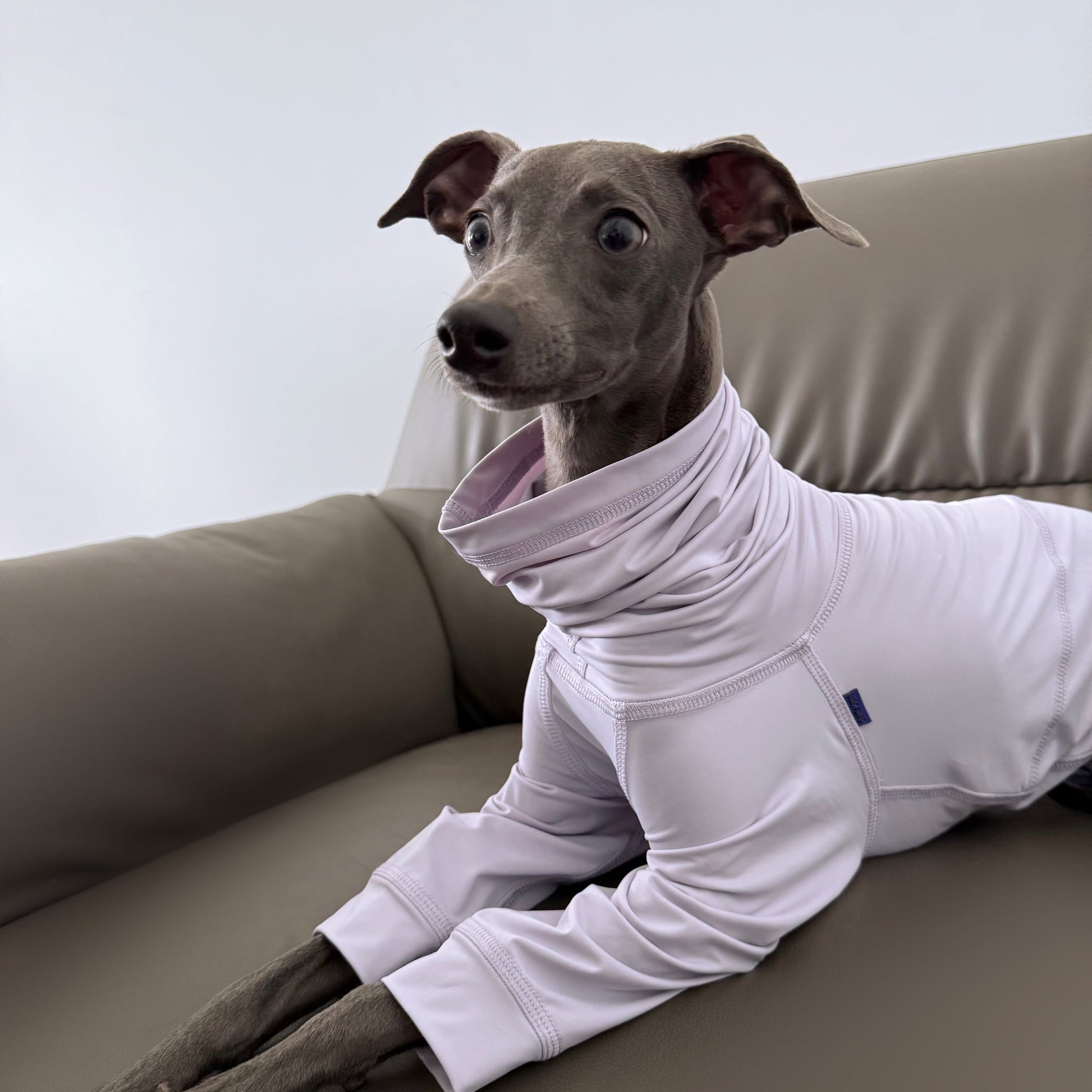 Cooling Protective Shirt Summer Bug and Dirt Resistant for Sighthounds - PIKAPIKA