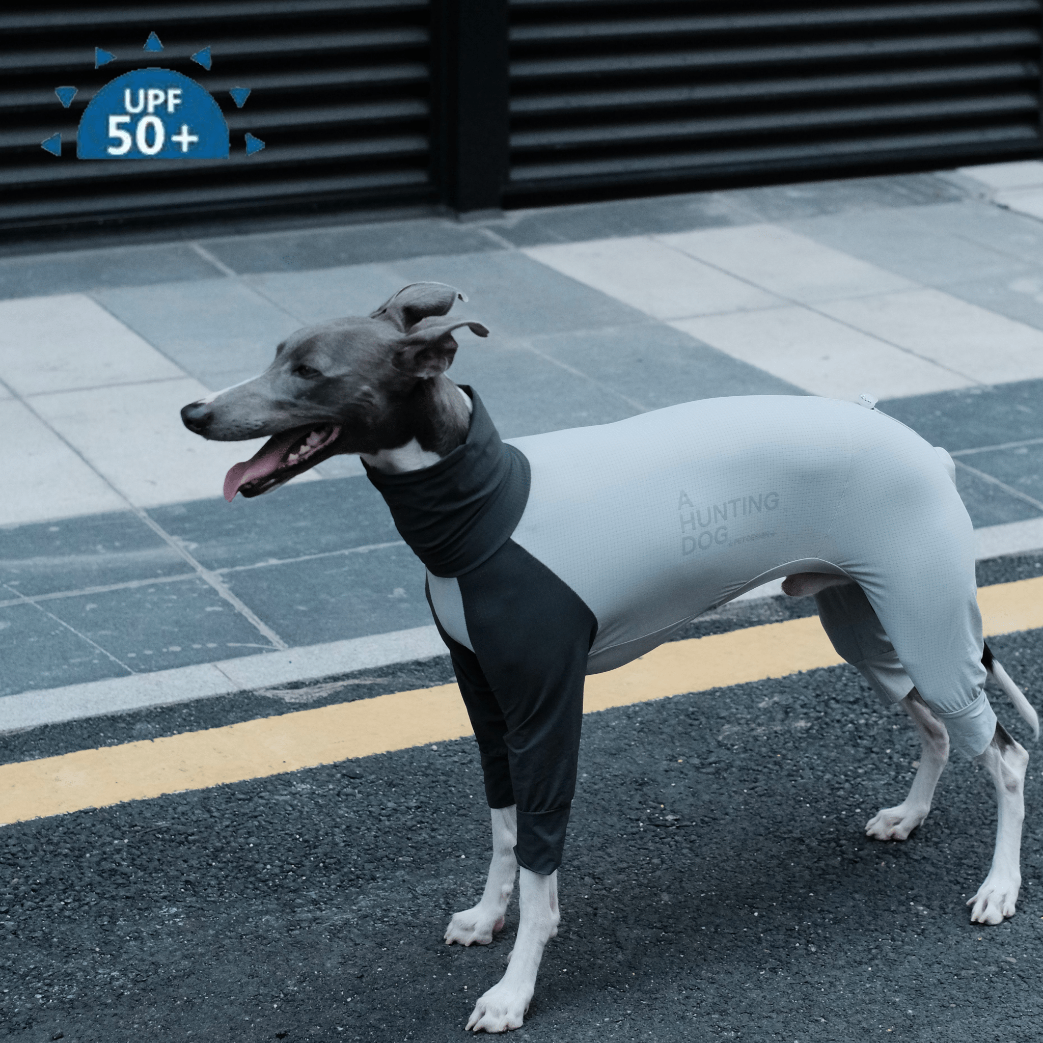 Cooling Quick - Dry Anti - Bug Jumpsuit For Italian Greyhounds & Whippets - PIKAPIKA
