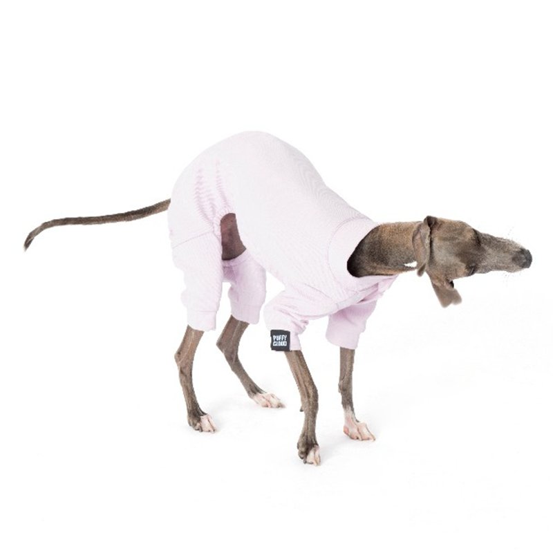 Cotton Botton Onesie Italian Greyhound Whippet Dog Clothes - PIKAPIKA