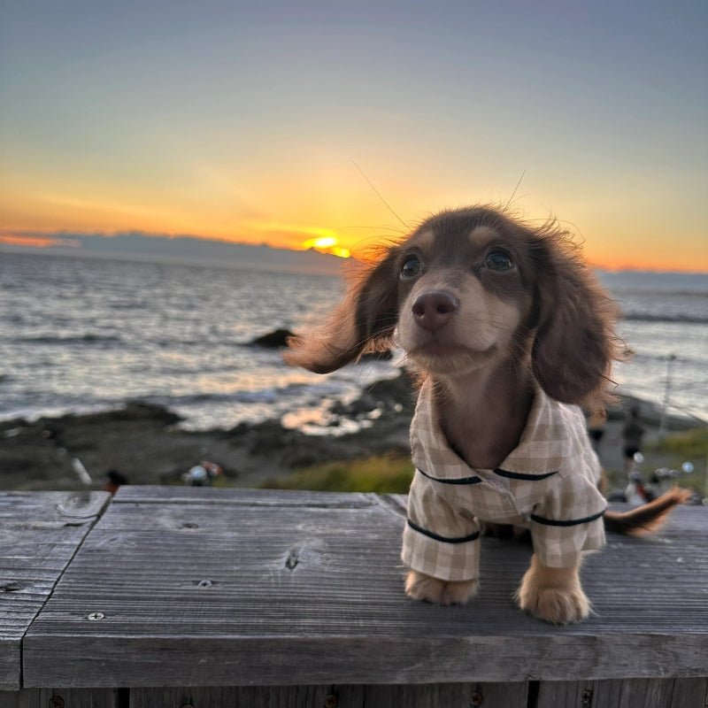 Cotton Checkered Pajama Dachshund Clothes - PIKAPIKA