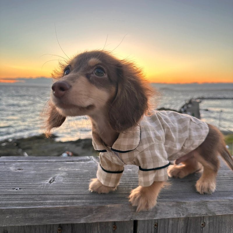 Cotton Checkered Pajama Dachshund Clothes - PIKAPIKA