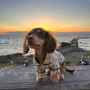Cotton Checkered Pajama Dachshund Clothes - PIKAPIKA
