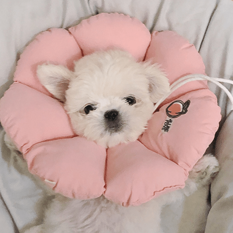 Cotton Flower Soft Elizabeth Collar for Small Medium Dogs Anti - Lick Bite - PIKAPIKA
