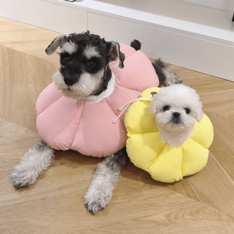 Cotton Flower Soft Elizabeth Collar for Small Medium Dogs Anti - Lick Bite - PIKAPIKA