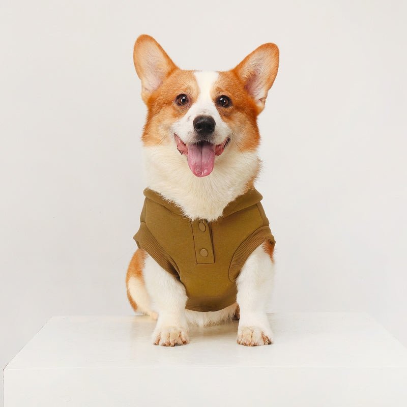 Cotton Hoodie Corgi Dog Clothes Sleeveless - PIKAPIKA