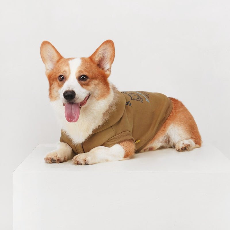 Cotton Hoodie Corgi Dog Clothes Sleeveless - PIKAPIKA