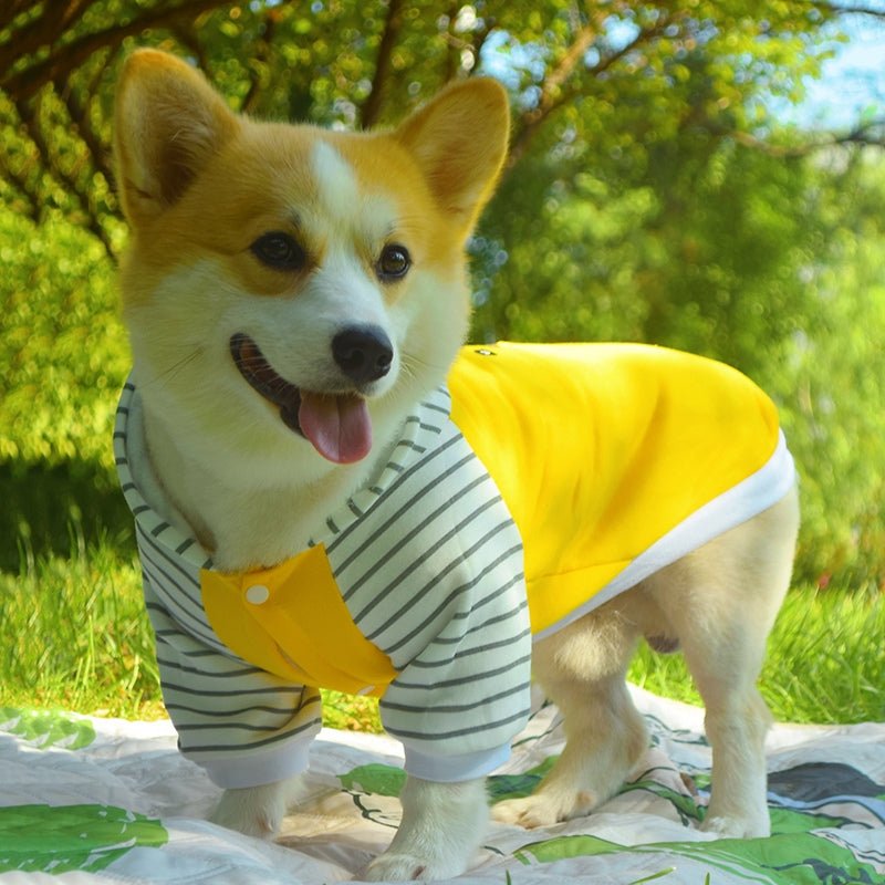 Cotton Hoodie Corgi Teddy Bichon Dog Clothes - PIKAPIKA