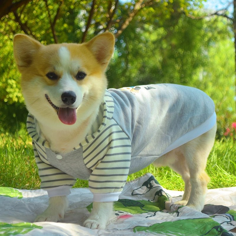 Cotton Hoodie Corgi Teddy Bichon Dog Clothes - PIKAPIKA
