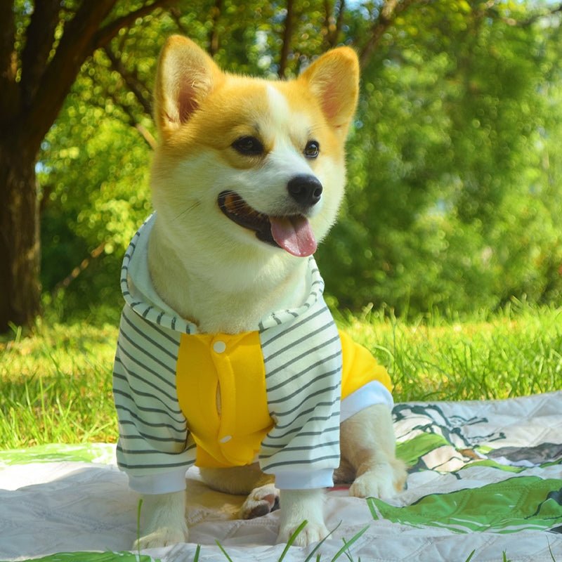Cotton Hoodie Corgi Teddy Bichon Dog Clothes - PIKAPIKA