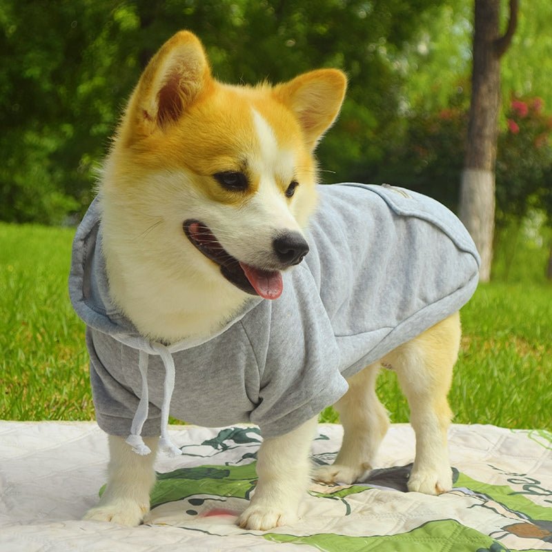 Cotton Hoodie Corgi Teddy Dog Thin Fleece Clothes - PIKAPIKA