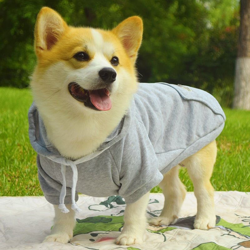 Cotton Hoodie Corgi Teddy Dog Thin Fleece Clothes - PIKAPIKA