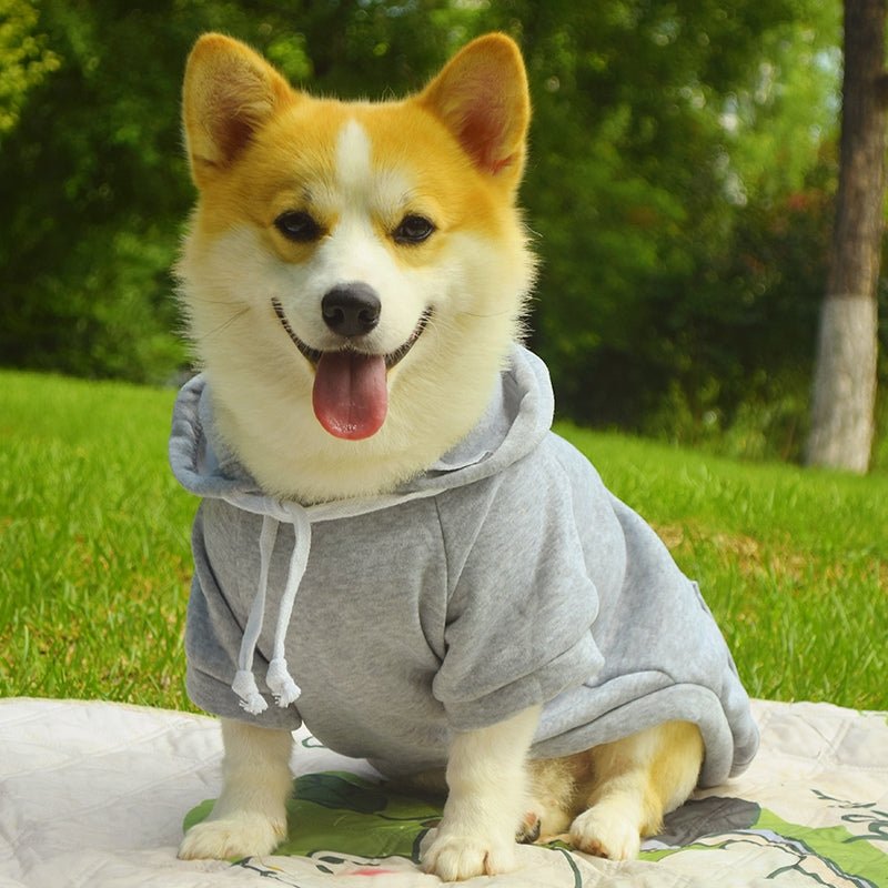 Cotton Hoodie Corgi Teddy Dog Thin Fleece Clothes - PIKAPIKA