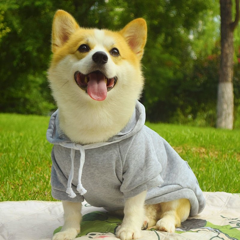 Cotton Hoodie Corgi Teddy Dog Thin Fleece Clothes - PIKAPIKA