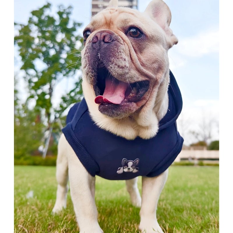 Cotton Hoodie Sleeveless Dog Cat Clothes Bulldog - PIKAPIKA