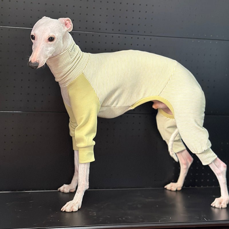 Cotton Onesie Stripe for Italian greyhound Whippet Dog Clothes - PIKAPIKA