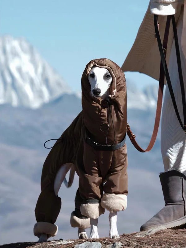 Cotton Padded Coat 4 Legs for Italian greyhound Whippet - PIKAPIKA