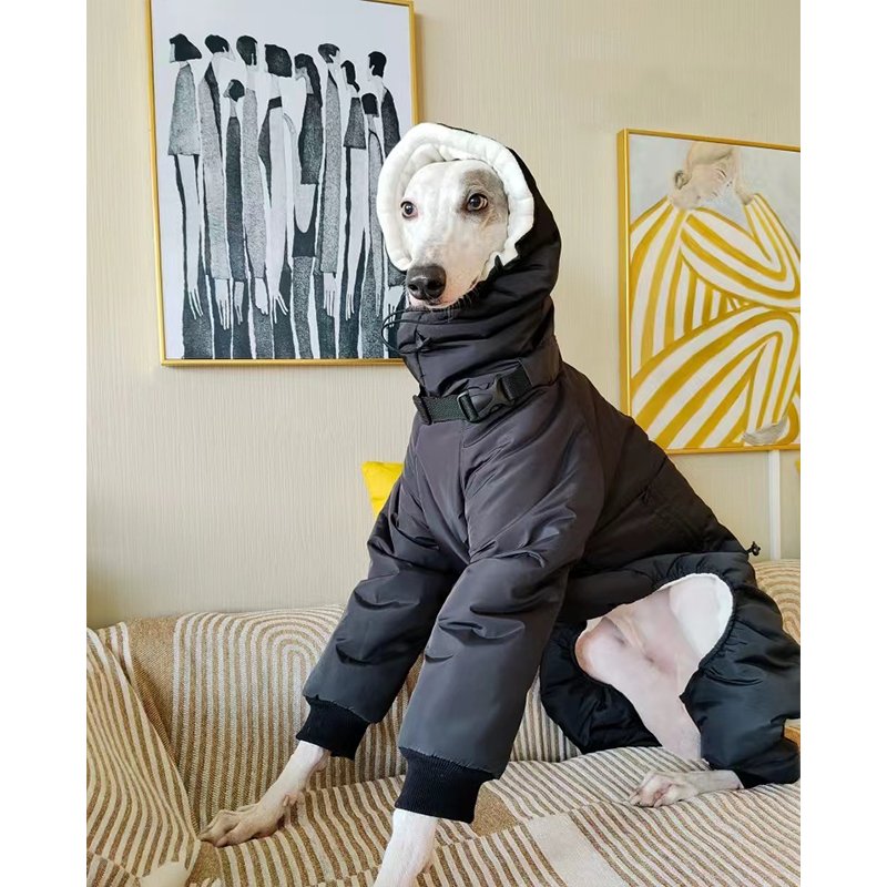 Cotton Padded Coat 4 Legs for Italian greyhound Whippet - PIKAPIKA