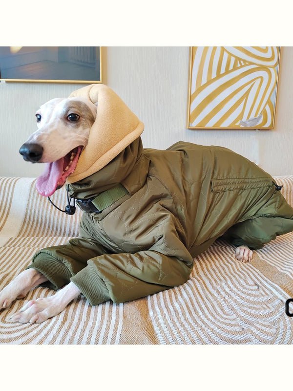 Cotton Padded Coat 4 Legs for Italian greyhound Whippet - PIKAPIKA