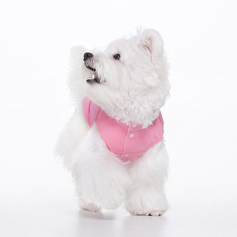 Cotton Padded Jacket Double Layer Button Coat Dog Clothes - PIKAPIKA