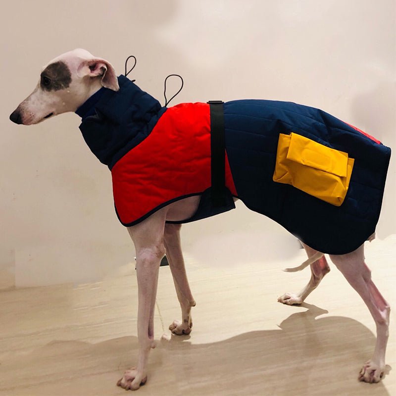 Cotton Padded Jacket Vest for Italian Greyhound Whippet - PIKAPIKA