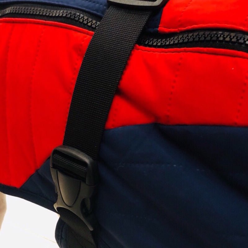 Cotton Padded Jacket Vest for Italian Greyhound Whippet - PIKAPIKA