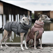 Cotton Padded Jacket Vest for Italian greyhound Whippet - PIKAPIKA