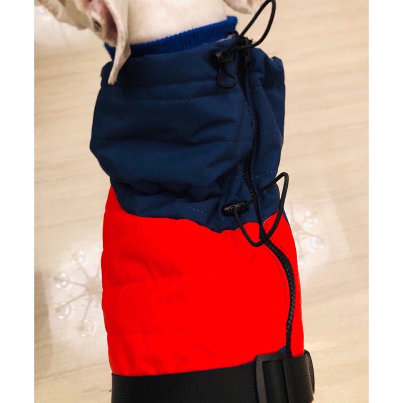 Cotton Padded Jacket Vest for Italian Greyhound Whippet - PIKAPIKA