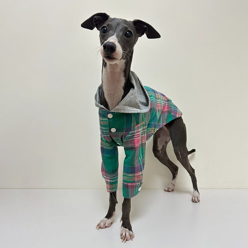 Cotton Plaid Shirt Hoodie for Italian Greyhound Whippet - PIKAPIKA