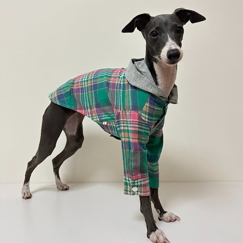 Cotton Plaid Shirt Hoodie for Italian Greyhound Whippet - PIKAPIKA
